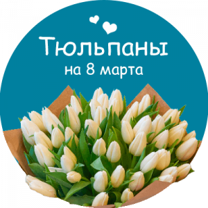 Купить тюльпаны в Белозерском